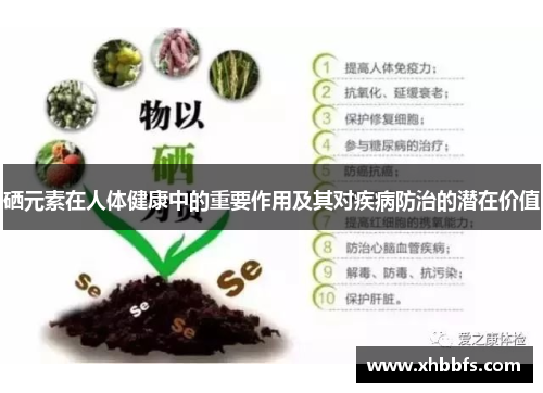 硒元素在人体健康中的重要作用及其对疾病防治的潜在价值